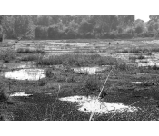 Zwei Sammlerinnen, Ban Kham, Thailand 2025