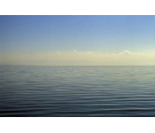 Am Bodensee 2021