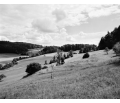 Bei Gündisau, Zürcher Oberland 2024