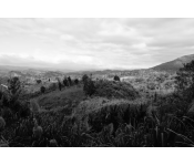 Do Landscapes Remember? North of Route 9
