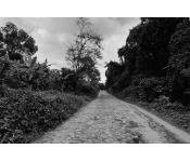 Operation Lam Son 719: Cutting the Ho Chi Minh Trails