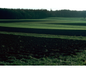 Wald und Felder, Zürcher Oberland, 1976