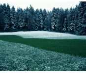 Winterwald, Zürcher Oberland, 70er Jahre